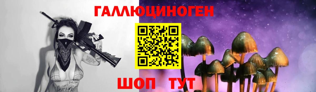 Кингисепп  Галлюциногенные грибы Cubensis  Галлюциногенные грибы MAGIC MUSHROOMS  Вход с VPN 